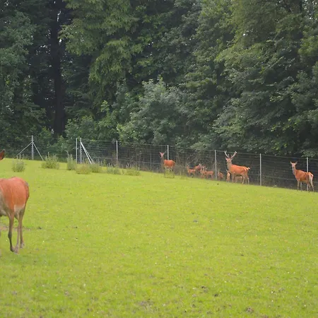 Tatil Evi Forestview Family Home *