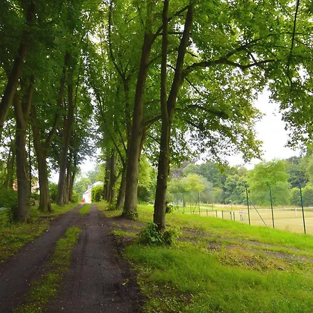 Tatil Evi Forestview Family Home