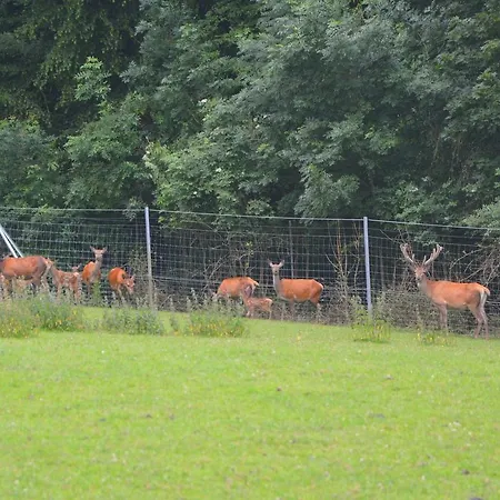 Forestview Family Home Tatil Evi Gesves