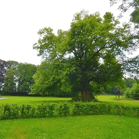 Forestview Family Home *